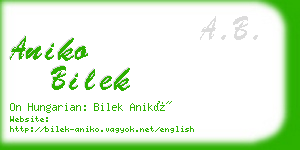 aniko bilek business card